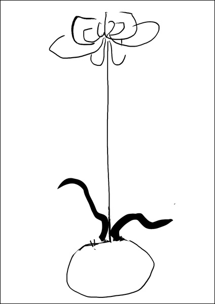 장병언, Digital Drawing, digital_work, 2024